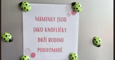 Nový začátek 