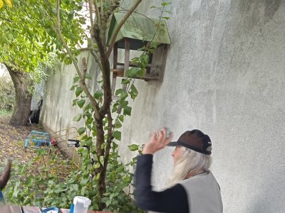 Canisterapie v Azylovém domě pro muže