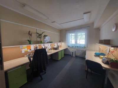 PROFI CREDIT podpořil Intervenční centrum Pardubice