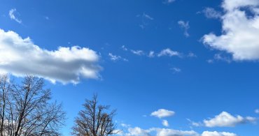 „Kdo čaj s medem ráno pije, nestoná a dlouho žije.“