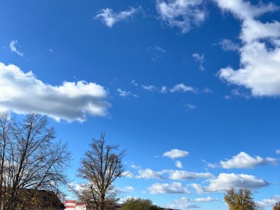 „Kdo čaj s medem ráno pije, nestoná a dlouho žije.“