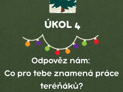 Prosinec v terénu NZDM FREE KLUB