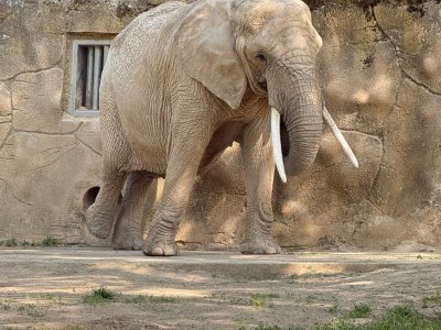 Městský azylový dům pro ženy v ZOO Dvůr králové