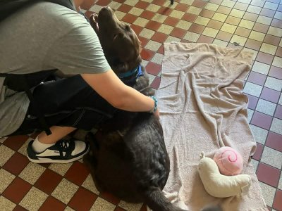 Spolupráce s Střední průmyslovou školou chemickou Pardubice