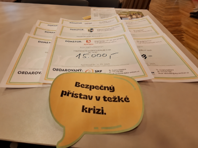 Dvě krizové služby = dvě nové konzultovny